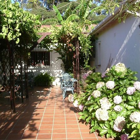 Vine Guesthouse Stellenbosch Exteriör bild