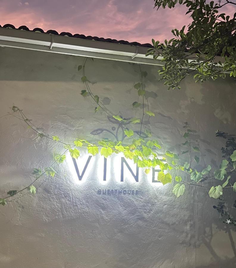 Vine Guesthouse Stellenbosch Exteriör bild