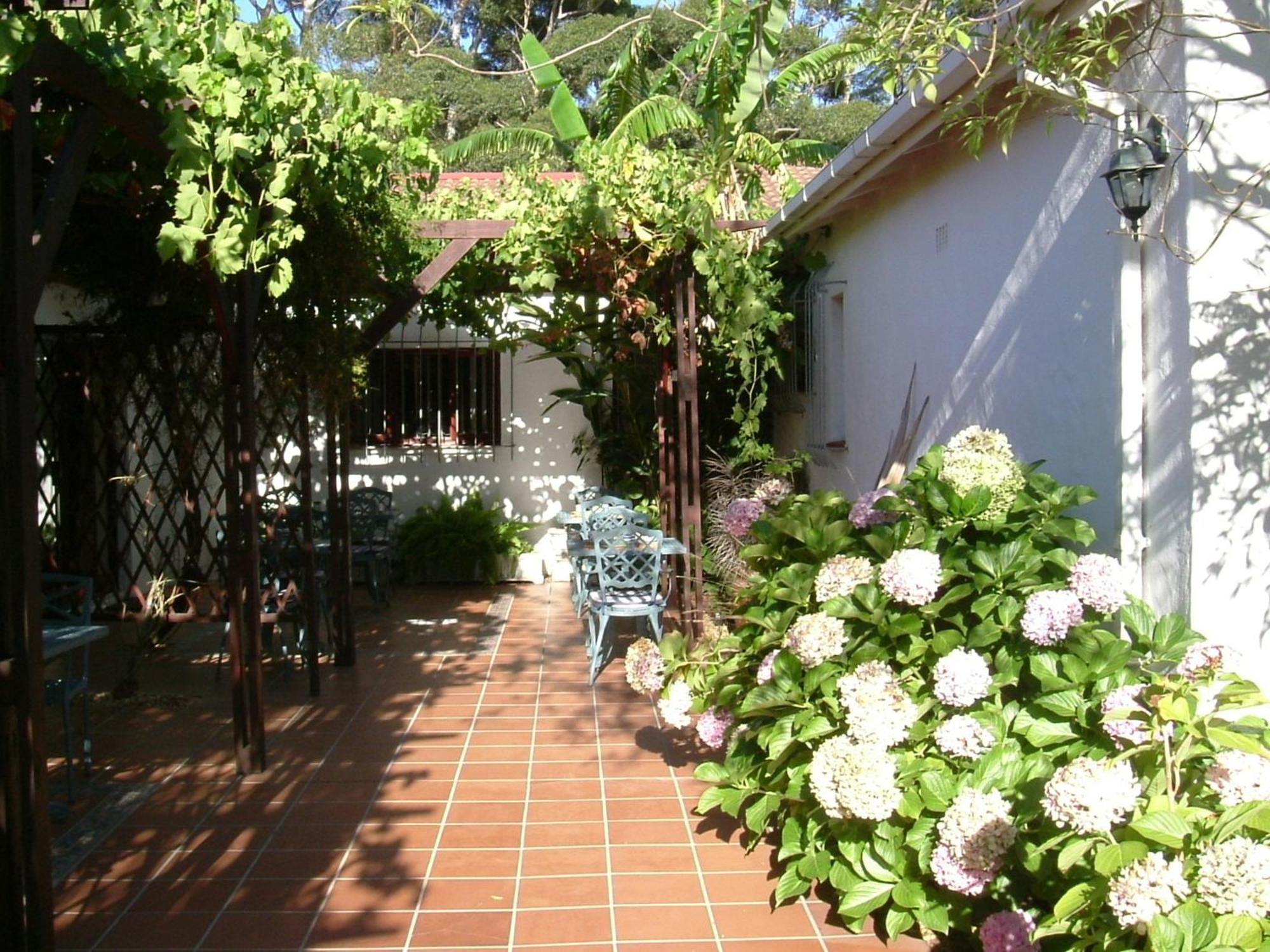 Vine Guesthouse Stellenbosch Exteriör bild