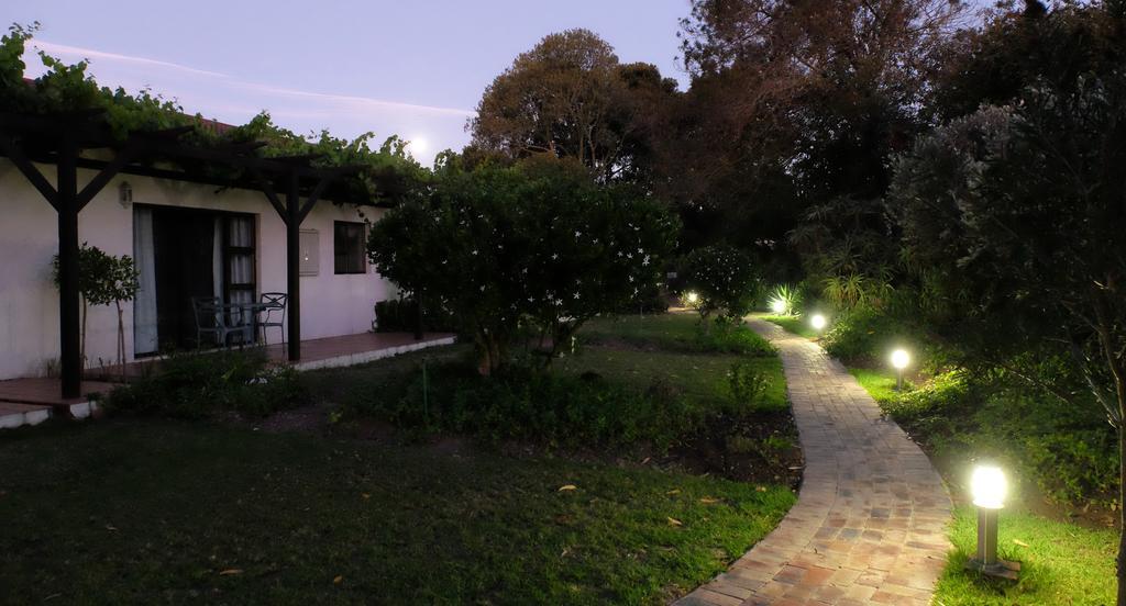 Vine Guesthouse Stellenbosch Exteriör bild