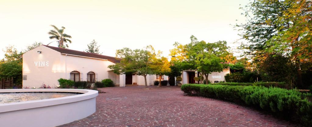 Vine Guesthouse Stellenbosch Exteriör bild