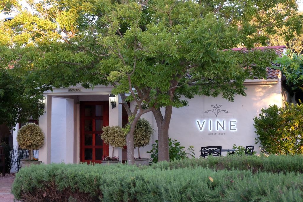 Vine Guesthouse Stellenbosch Exteriör bild