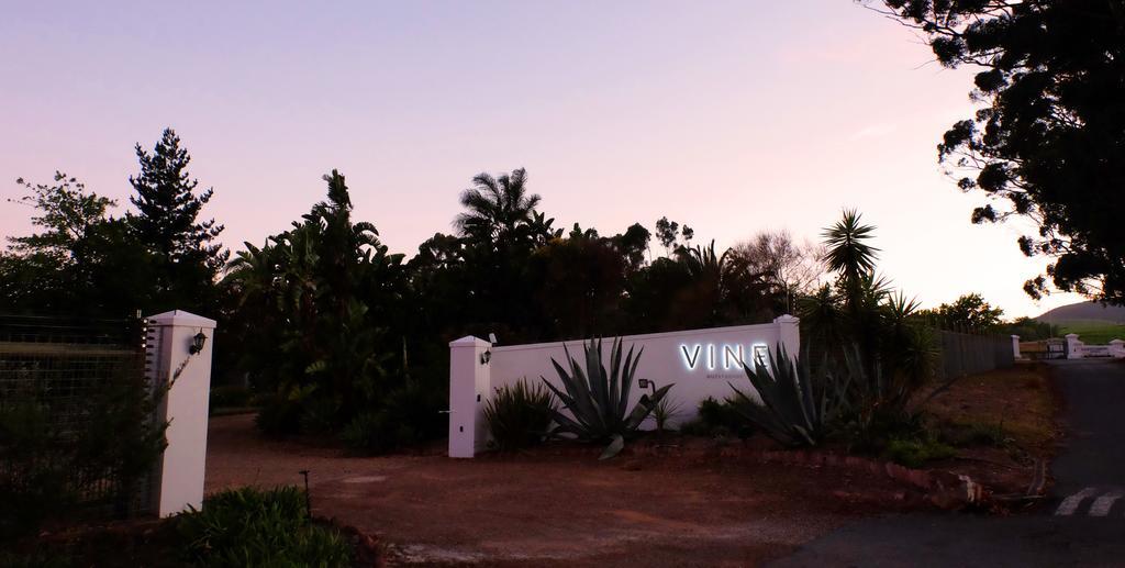 Vine Guesthouse Stellenbosch Exteriör bild