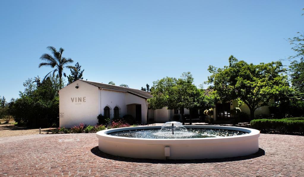 Vine Guesthouse Stellenbosch Exteriör bild