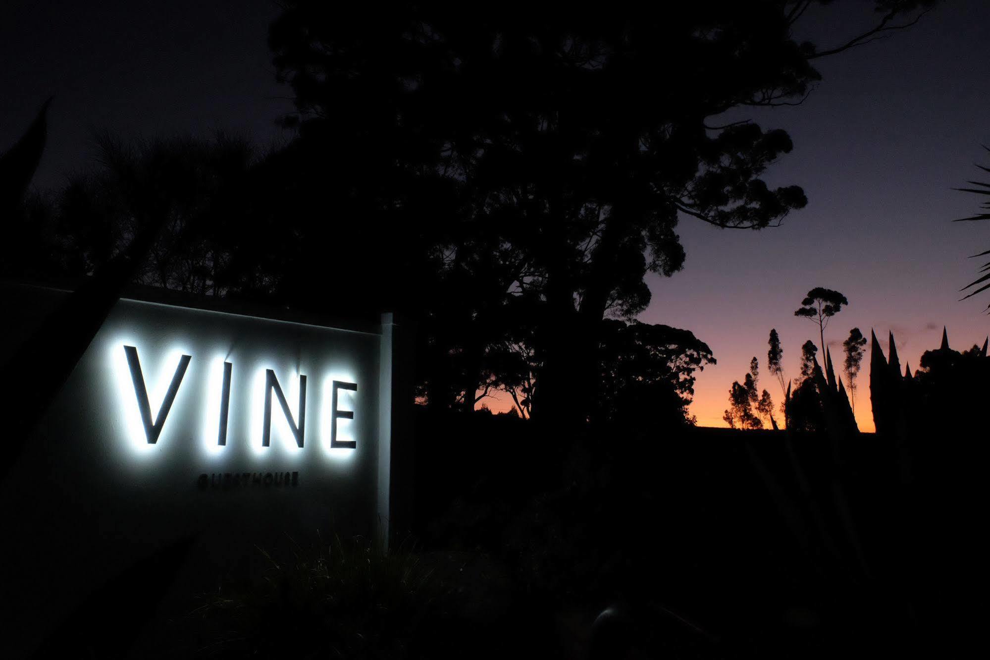 Vine Guesthouse Stellenbosch Exteriör bild