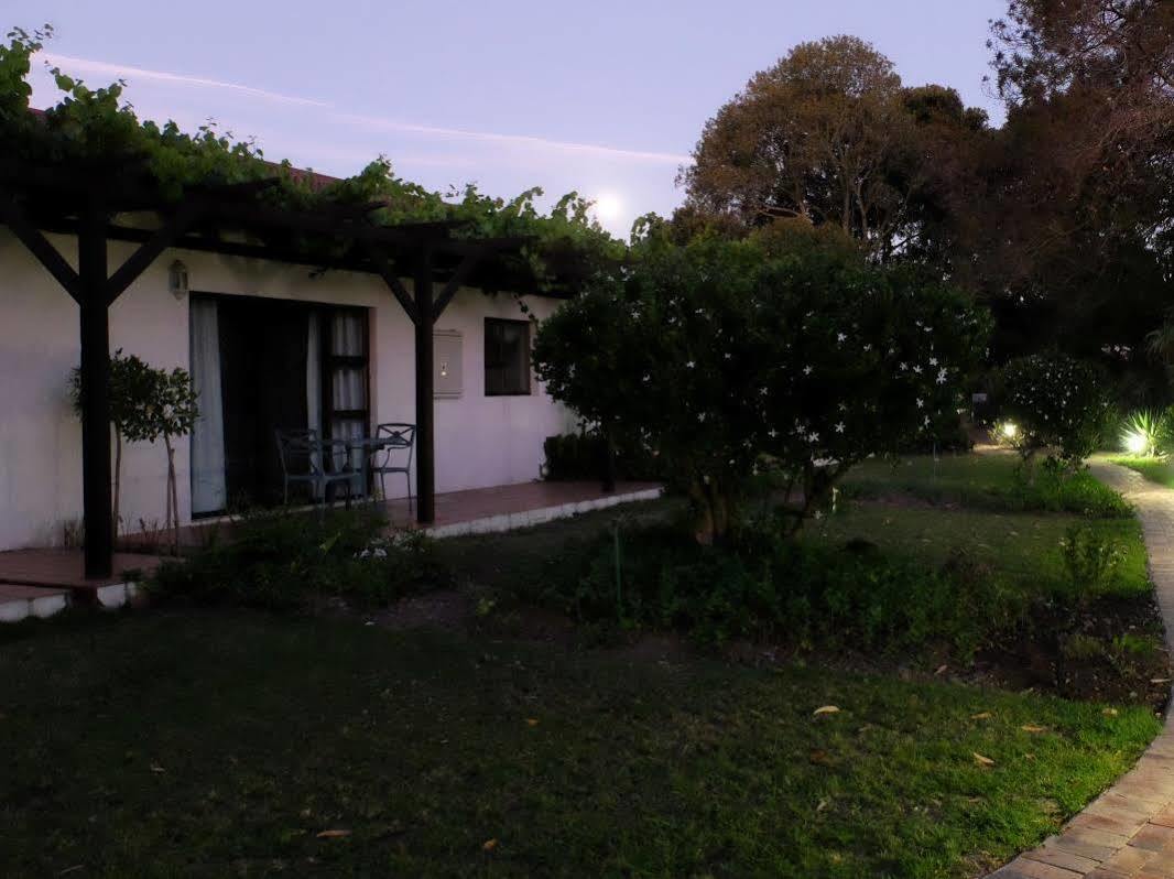 Vine Guesthouse Stellenbosch Exteriör bild